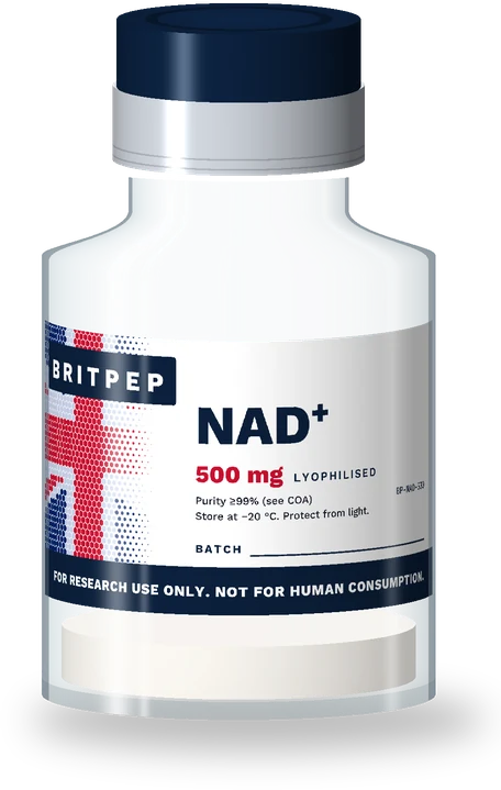 NAD⁺ 500 mg research peptide vial